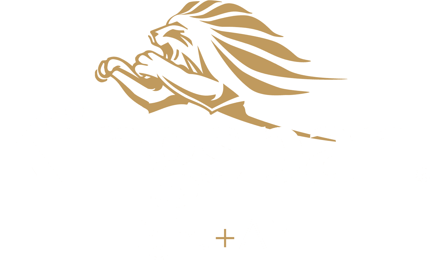 Kingspan Logo - Light + Air