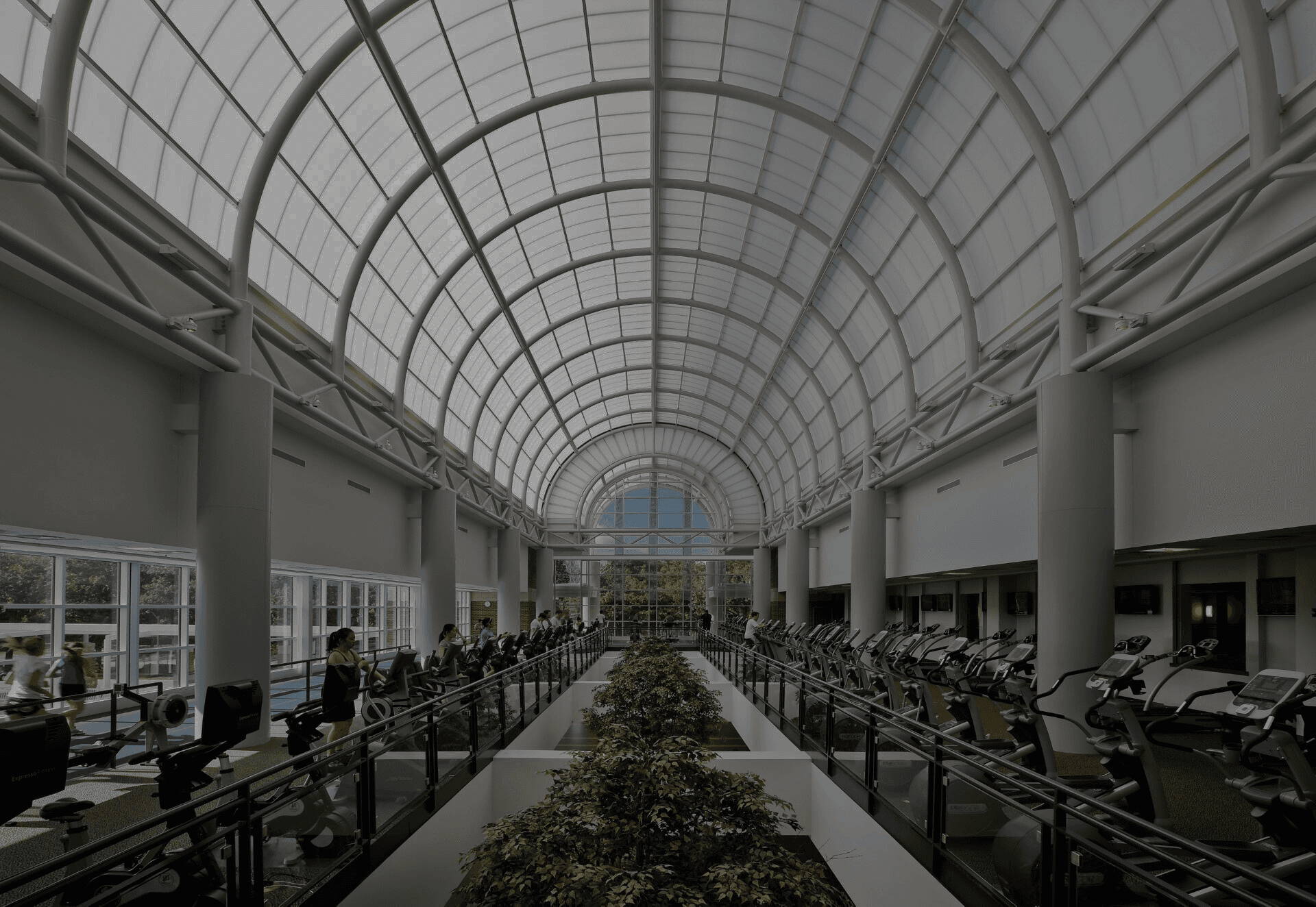Polycarbonate Skylight - darkened